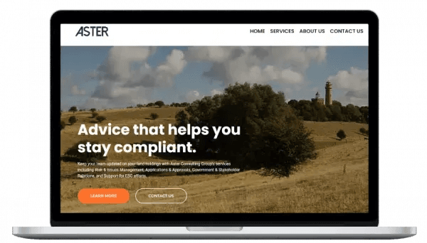 Aster Consulting Group website